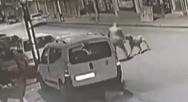 Korgan’da köpekler adama saldırdı