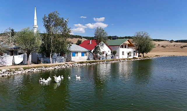 Ordu'da 12 ay doğa tutkusu: Ulugöl Yaylası ziyaretçilerini bekliyor