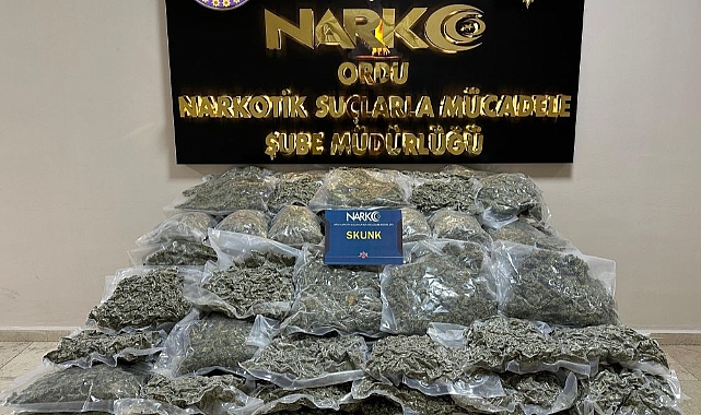Ordu'da büyük vurgun: 68 kilo Skunk uyuşturucusu ele geçirildi!