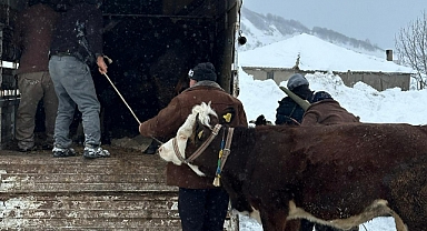 Karde mahsur kalan besiciler kurtarıldı