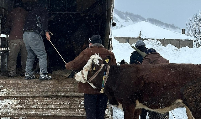 Karde mahsur kalan besiciler kurtarıldı