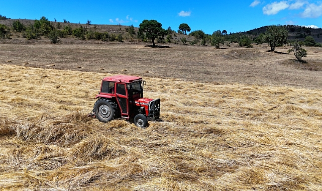 Ordu'da 31 Bin 350 dekar atıl arazi tarıma açıldı