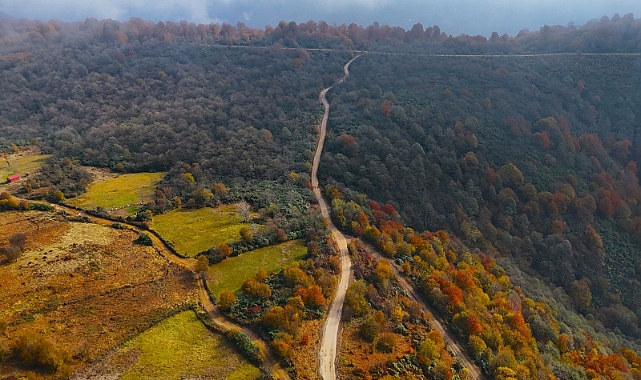 Ordu ve Giresun Yaylaları birleşiyor