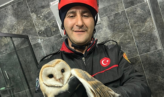 İtfaiye Ekiplerinden Baykuş kurtarma operasyonu