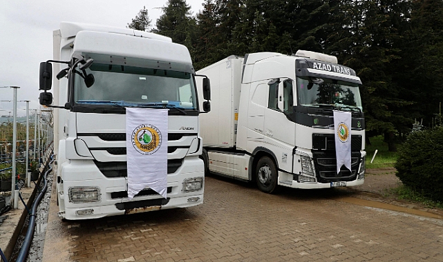 Ordu’dan Azerbaycan’a 3 tır fidan gönderildi