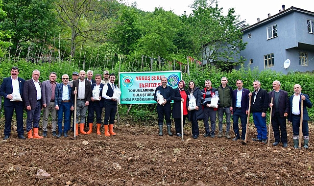 Akkuş Şeker Fasulyesinde ekim zamanı