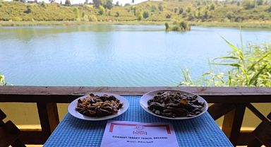 Ordu Gastronomisi büyükşehir ile ün kazanıyor
