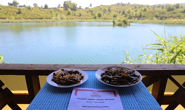 Ordu Gastronomisi büyükşehir ile ün kazanıyor
