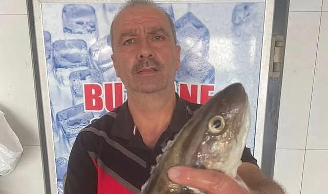 Ordu Perşembe’de Avlanan 1 Kiloluk Dev Mezgit Şaşkınlık Yarattı
