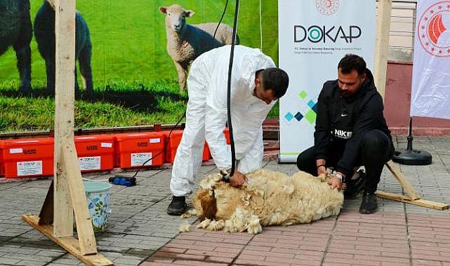 Koyun Yetiştiricilerine Şaftlı Kırkım Makinesi Dağıtımı Yapıldı