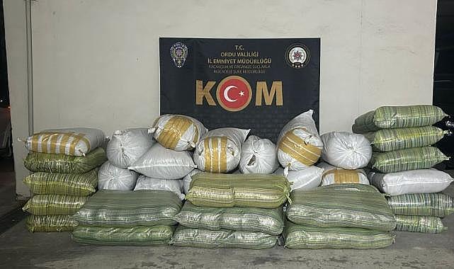 Ordu’da 1 ton üzerininde kaçak tütün yakalandı