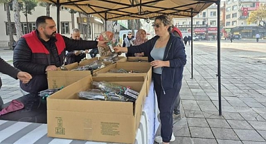 Ordu’da 2 bin fidan dağıtıldı: Büyükşehir’den üç ilçede eş zamanlı ağaçlandırma hamlesi