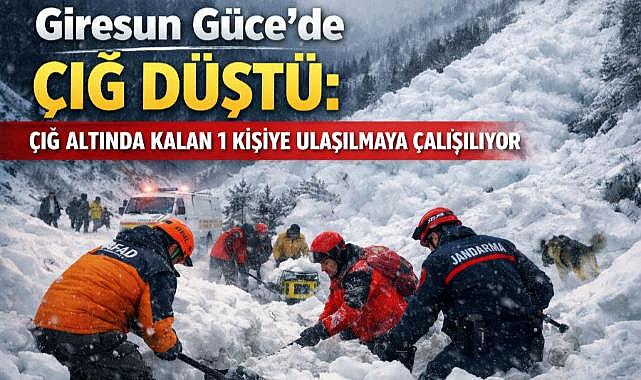 Giresun Güce'de çığ faciası: Çoban çığ altında kaldı