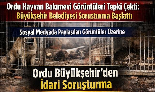 Ordu hayvan bakımevi görüntüleri tepki çekti: Büyükşehir belediyesi soruşturma başlattı