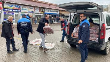 Fatsa’da Kaçak Et Operasyonu