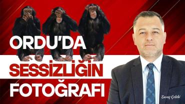 Ordu'da Sessizliğin Fotoğrafı