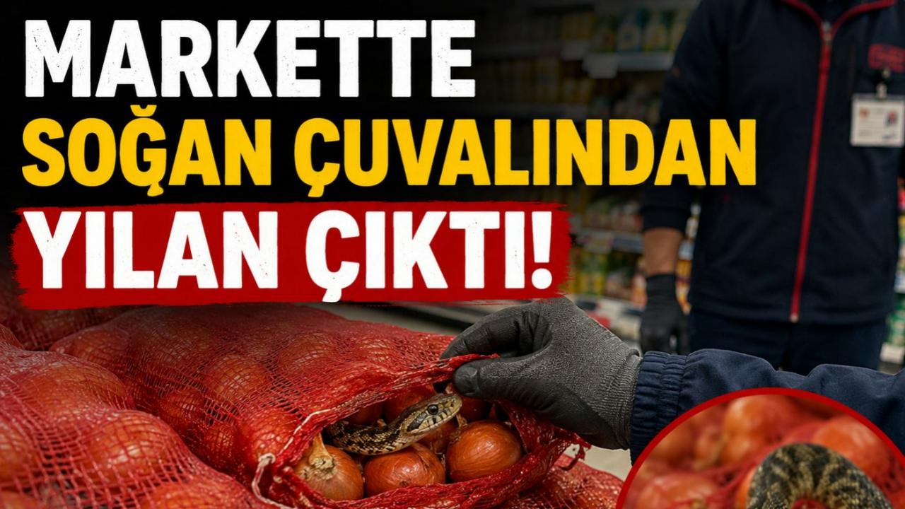 Soğan Çuvalında Yılan Çıktı