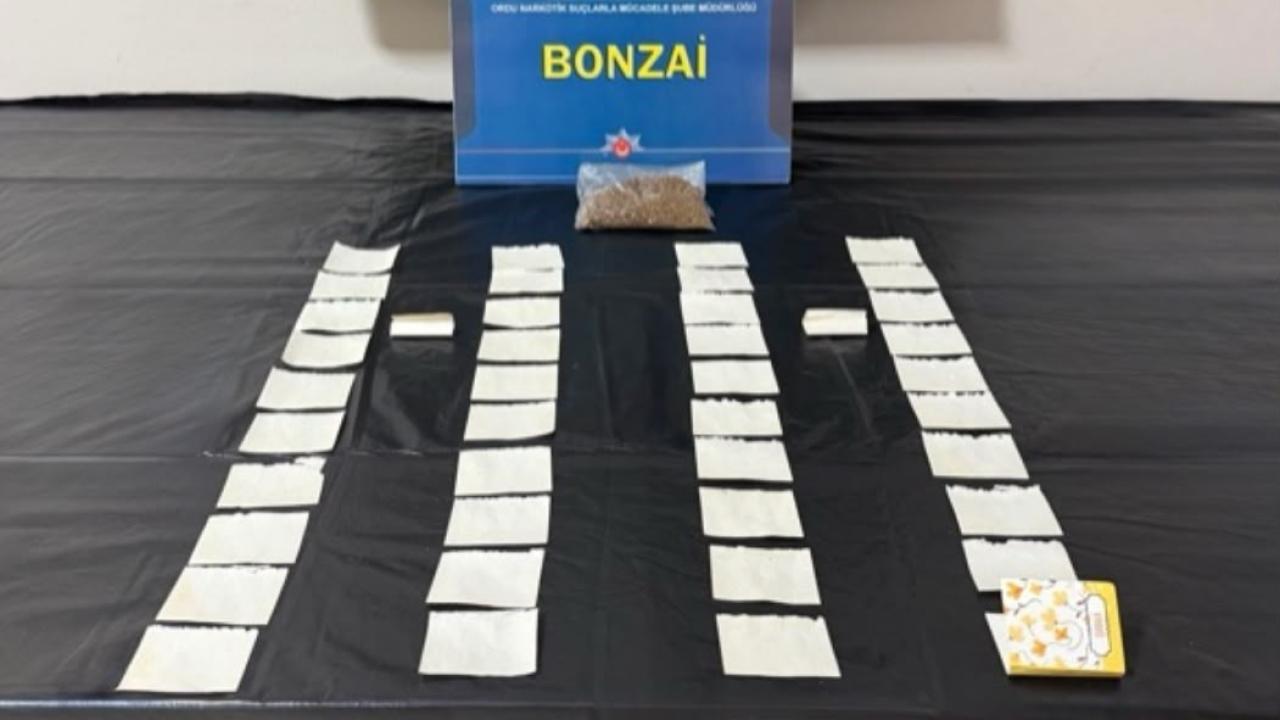 Ordu’da Narkotik Operasyonları
