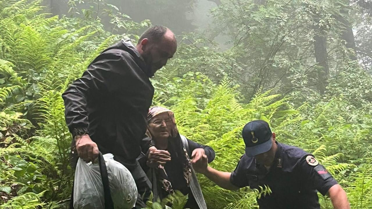 Ormanda kaybolan 75 yaşındaki kadın sağ bulundu