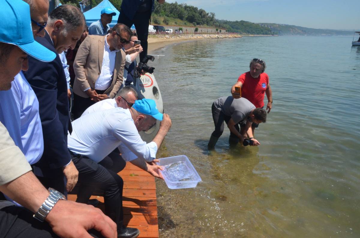 OYAK Çimento’dan Marmara Denizi’ne 100 Yeni Yapay Resif